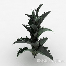 带刺叶子植物3d模型下载