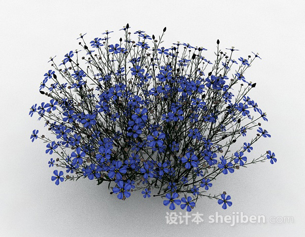 设计本蓝色花朵植物花卉3d模型下载