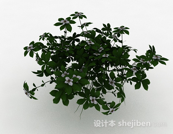 免费白色小花草丛花卉植物3d模型下载