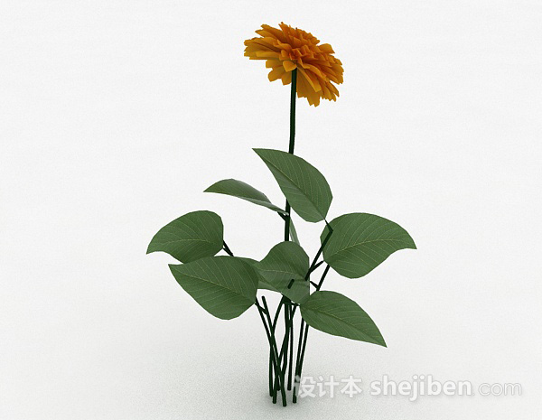 其它黄色花卉植物3d模型下载