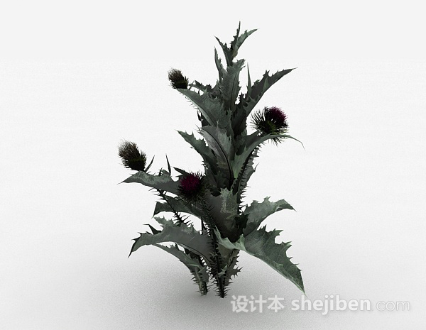 免费花园装饰植物花卉3d模型下载