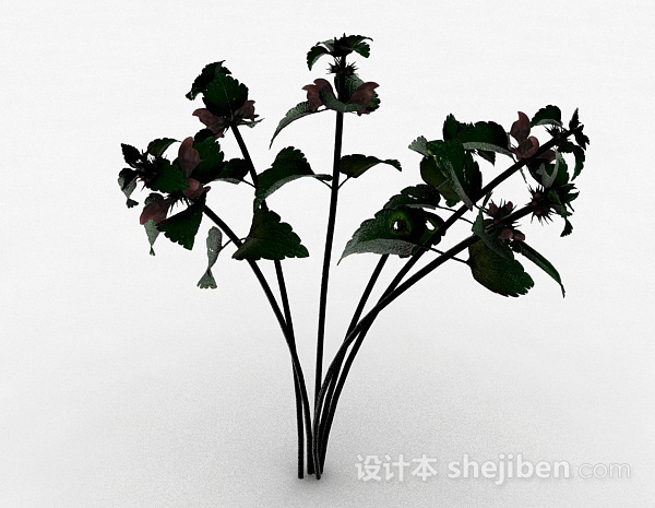 免费绿色草本植物3d模型下载