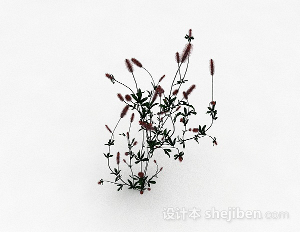 免费马尾状花朵植物3d模型下载