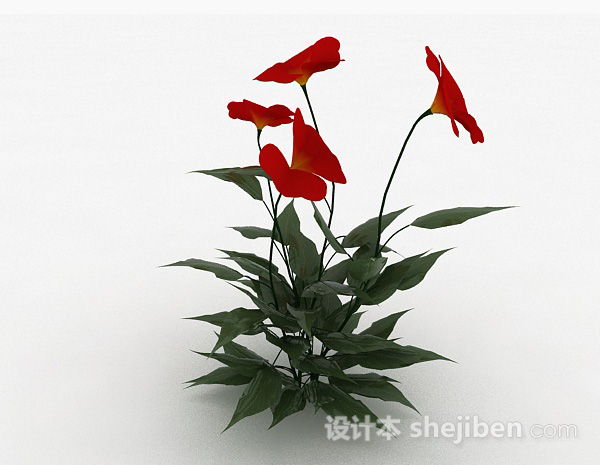 红色花朵3d模型下载