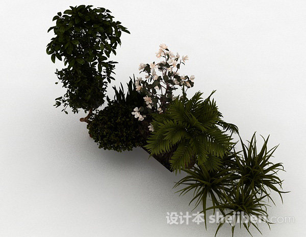 其它园林观赏型花卉植物3d模型下载