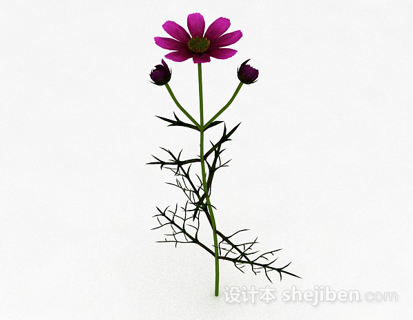 免费荆棘类紫色花朵3d模型下载