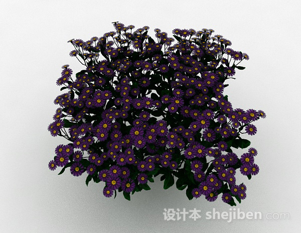 免费紫色花朵植物花卉3d模型下载