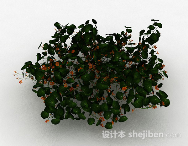 设计本橙色小花观赏型花丛3d模型下载