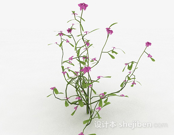 紫色花卉植物3d模型下载