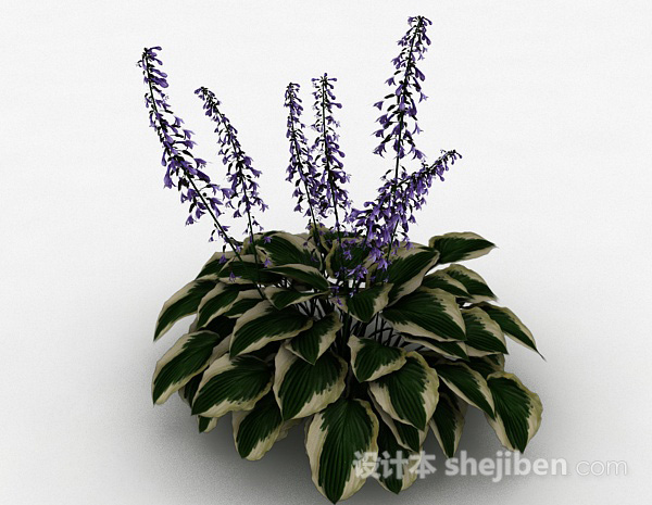 其它室内观赏型盆栽3d模型下载