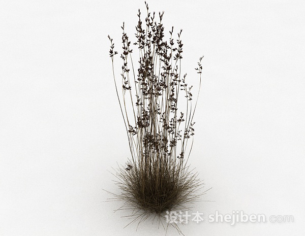 设计本小草植物3d模型下载