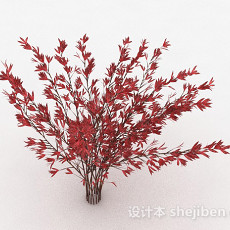 红色树叶观赏植物3d模型下载