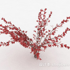 观赏型红色树叶植物3d模型下载