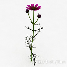 荆棘类紫色花朵3d模型下载