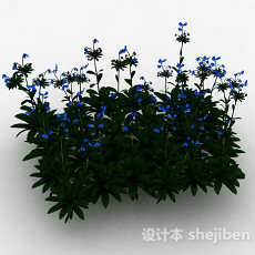 蓝色小花室外花丛3d模型下载
