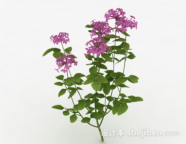 其它紫色花卉装饰植物3d模型下载