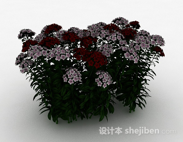 双色小花观赏型植物3d模型下载