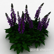 紫色花朵狭叶洋地黄3d模型下载