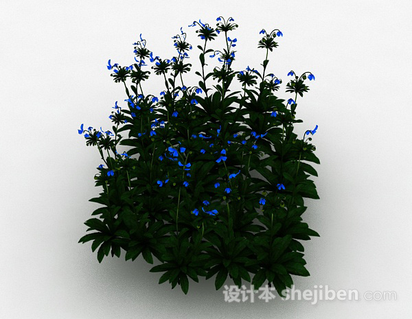 设计本蓝色小花室外花丛3d模型下载