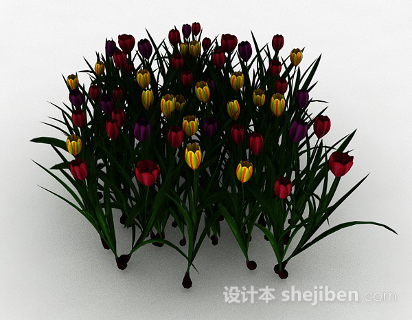 免费多色花朵观赏植物3d模型下载