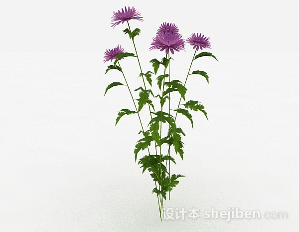其它紫色装饰花卉3d模型下载