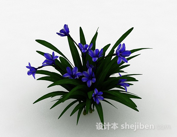 设计本紫色花朵观赏型花卉3d模型下载