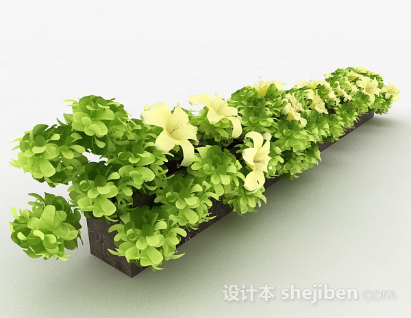 设计本米白色花朵观赏植物3d模型下载