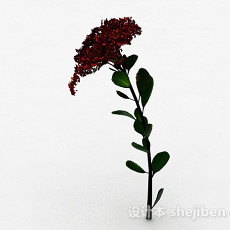 单支红花植物3d模型下载