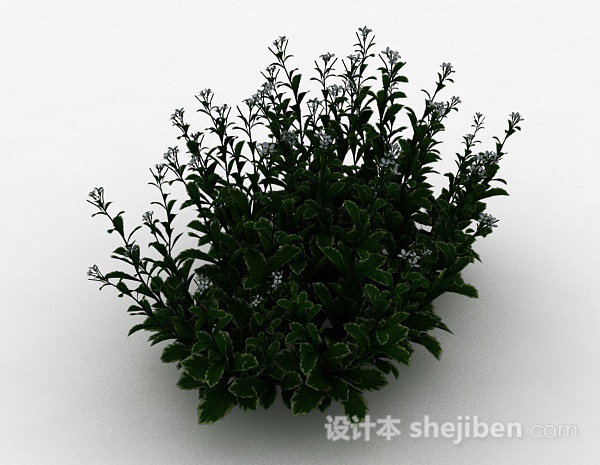 设计本白色小花园林植物3d模型下载