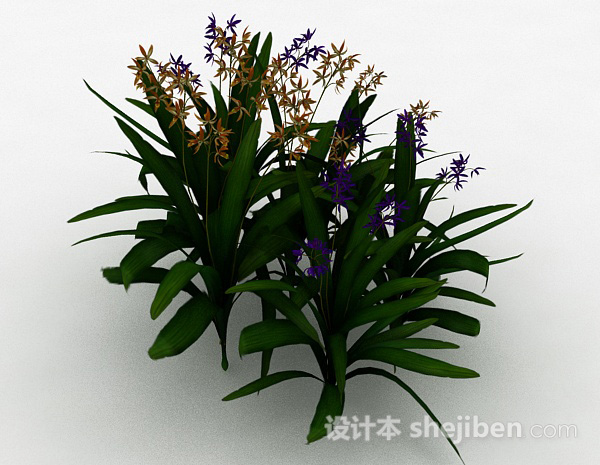 免费公园多色观赏型花卉植物3d模型下载