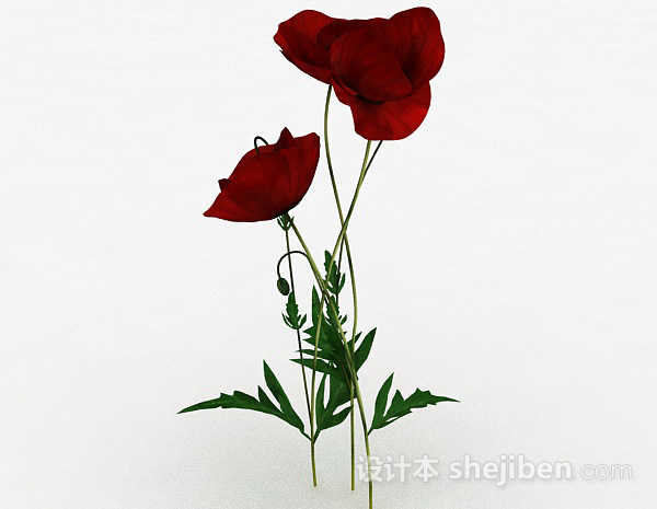 其它精品红色花卉3d模型下载